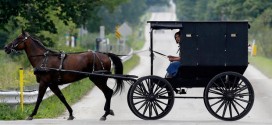 Ohio Amish girl