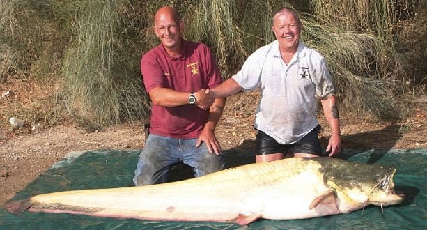 Brit lands albino catfish and a world record : (PHOTO)