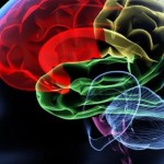 Head Trauma Lead to Alzheimer's Disease, Study