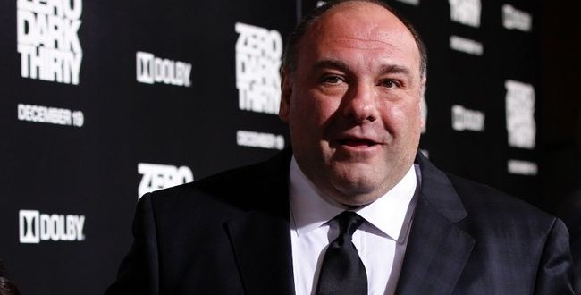 James Gandolfini's Teenage Son Called For Help after collapse