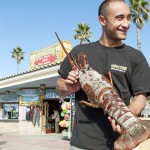 Man catches 18 pound lobster