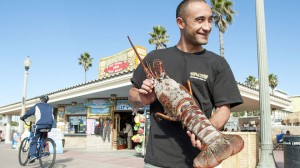 Man catches 18 pound lobster