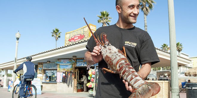 Man catches 18 pound lobster