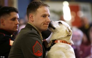 Sargent Ross Gundlach reunited with bomb sniffing dog