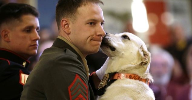 Marine Sargent Ross Gundlach reunited with bomb sniffing dog