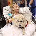 Dog helps docs in Duke surgery
