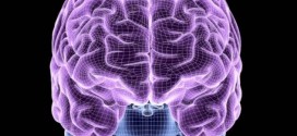 Both Sides of Brain used for speech, Study Finds