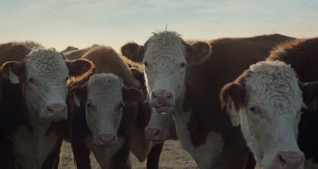 Chevy's Silverado 2014 Super Bowl Ad Is All About Romance