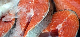 Eating oily fish 'delays loss of brain cells'