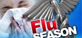 Flu Season 2014