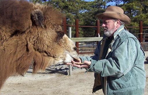 Pigskin-picking Camel who predicted American football games dies