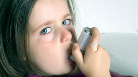 Premature birth raises asthma risk