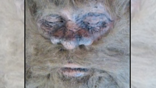 Rick Dyer: Hunter Says Photo Proves He Shot Bigfoot