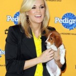 Singer Carrie Underwood volunteers at an animal shelter