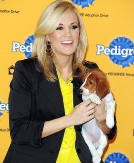 Singer Carrie Underwood volunteers at an animal shelter