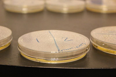 University to review sperm bank mix-up