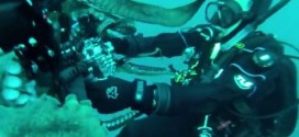 Giant 8-Foot Octopus Wrestles Camera From Diver