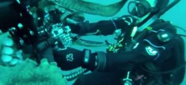 Giant 8-Foot Octopus Wrestles Camera From Diver