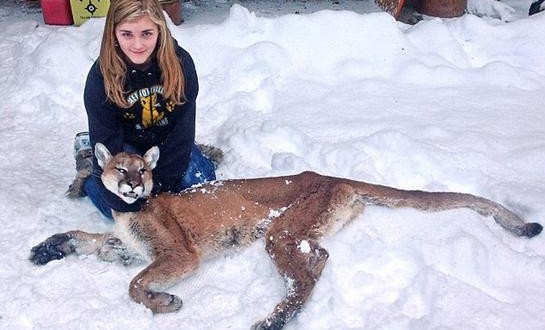 Girl, 11, shoots cougar to save brother