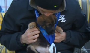 Olympic adopts five dogs