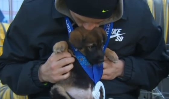 Olympic adopts five dogs