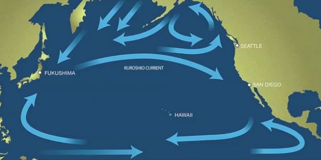 Radiation reaches waters off coast of Canada (Video)