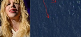 Courtney Love found plane
