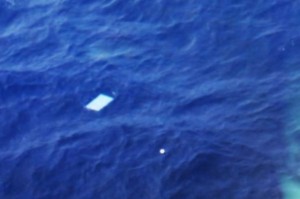 Flight MH370 : Plane detects debris in new search zone