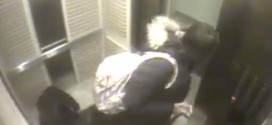 Leashed dog survives elevator scare