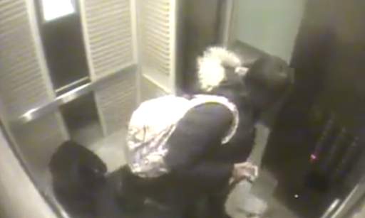 Leashed dog survives elevator scare