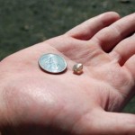 Man Finds 2.89-Carat Diamond at Arkansas park (Video)