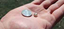 Man Finds 2.89-Carat Diamond at Arkansas park (Video)