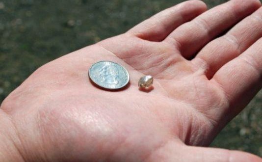Man Finds 2.89-Carat Diamond at Arkansas park (Video)
