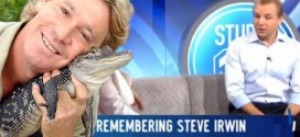 Steve Irwin's final moments