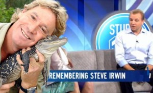 Steve Irwin's final moments