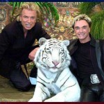 White tiger that attacked during Siegfried & Roy show dies