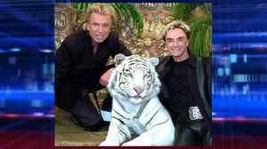 White tiger that attacked during Siegfried & Roy show dies