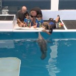 Dolphin Dream Comes True For 'Miracle' Irish Twins in Clearwater