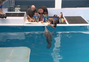 Dolphin Dream Comes True For 'Miracle' Irish Twins in Clearwater