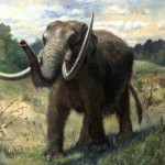 Nine-Year-Old Michigan Boy finds Mastodon Tooth in Creek