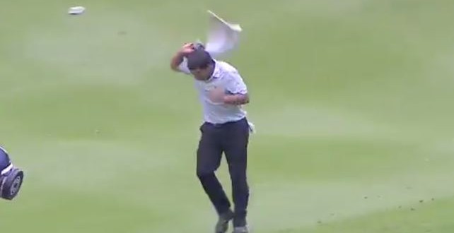 Pablo Larrazabal attacked by hornets (Video)