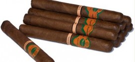Preference for flavoured cigar brands among youth in the USA