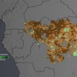 Study Finds Less Green in the Congo Rain Forest