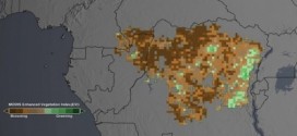 Study Finds Less Green in the Congo Rain Forest