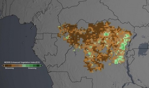 Study Finds Less Green in the Congo Rain Forest (Video)