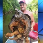 Alligator Snapping Turtle found