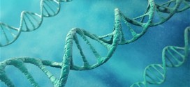 Artificial DNA Breakthrough Could Lead to New Treatments, Report