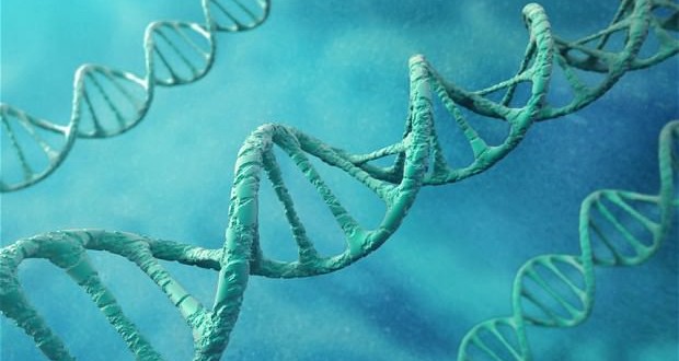 Artificial DNA Breakthrough Could Lead to New Treatments, Report