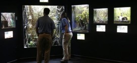 Houston Zoo Opens New “exotic bug House”