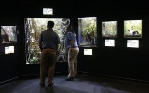 Houston Zoo Opens New “exotic bug House”